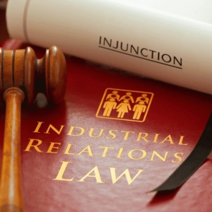 Hukum Ketenagakerjaan dan Hubungan Industrial (Labor and Industrial Law)