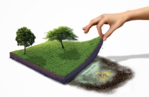 Kasus Pertanahan & Property